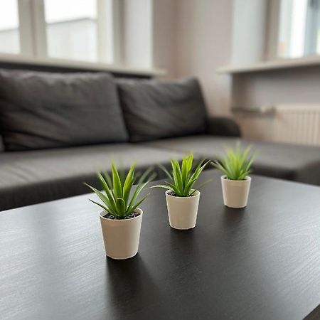 Akmene Center Apartment Naujoji Akmene Εξωτερικό φωτογραφία