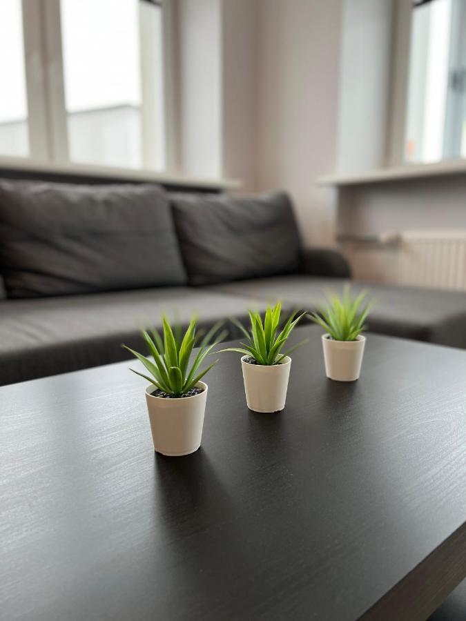 Akmene Center Apartment Naujoji Akmene Εξωτερικό φωτογραφία